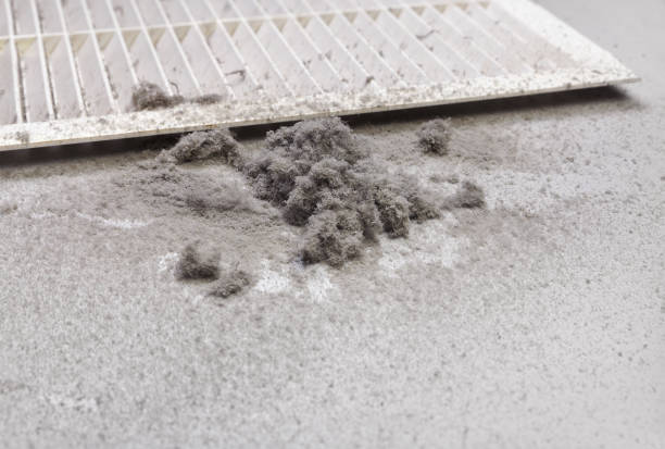 Best Duct Cleaning for Offices  in Boling, TX