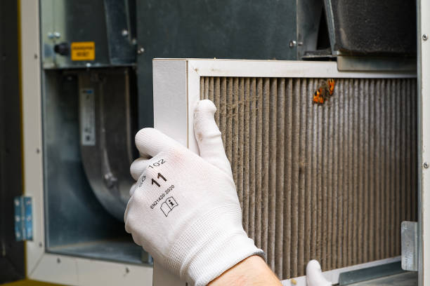 Best Air Duct Cleaning Company Near Me  in Boling, TX
