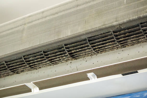 Best Duct Cleaning for Homes  in Boling, TX